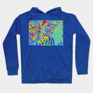 Coral Reef Hoodie